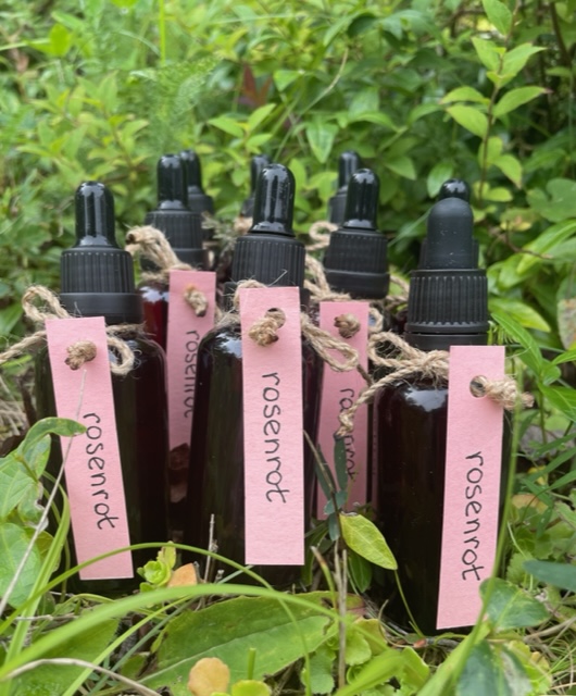 Arctic ginseng extract for wellness in Sicily