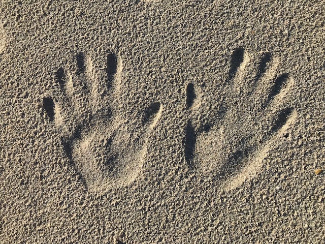 The healing power of touch in massage therapy - Sicily wellness