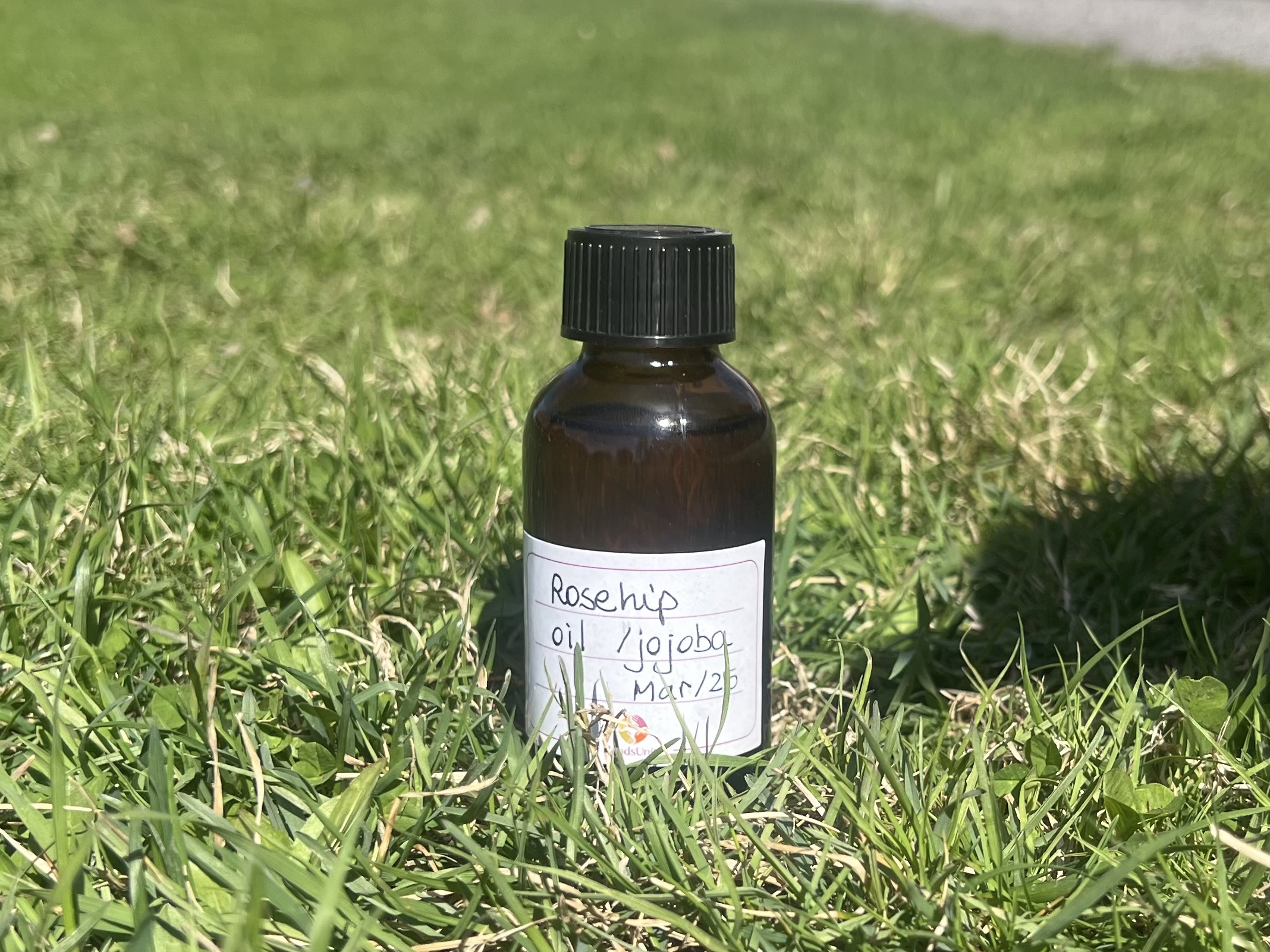 Handmade rosehip and jojoba oil blend for massage therapy in Sicily